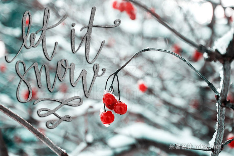 png素材 Christmas Photo Overlays  Free Font