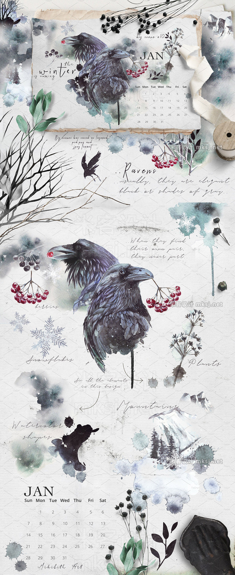 png素材 Ravens birds vol1
