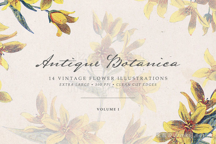 png素材 Vintage Flowers Vol01 - Extra Large