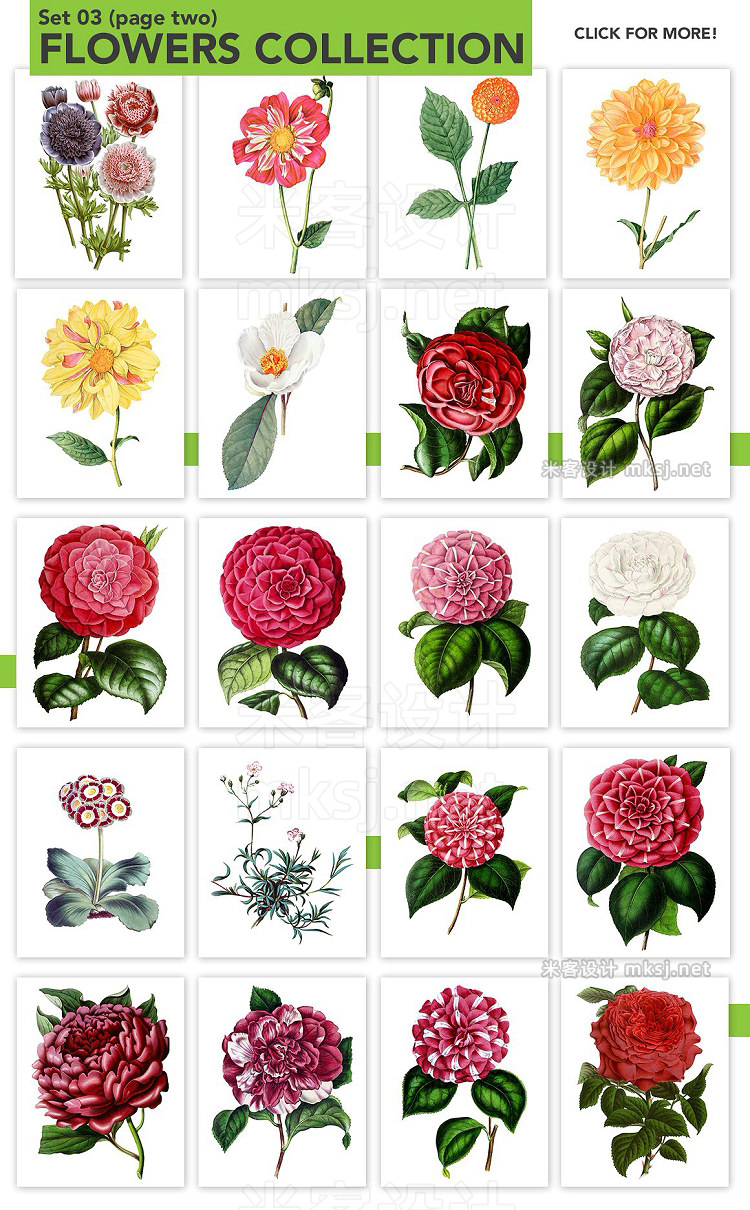 png素材 Watercolor Flowers Bundle Set 03