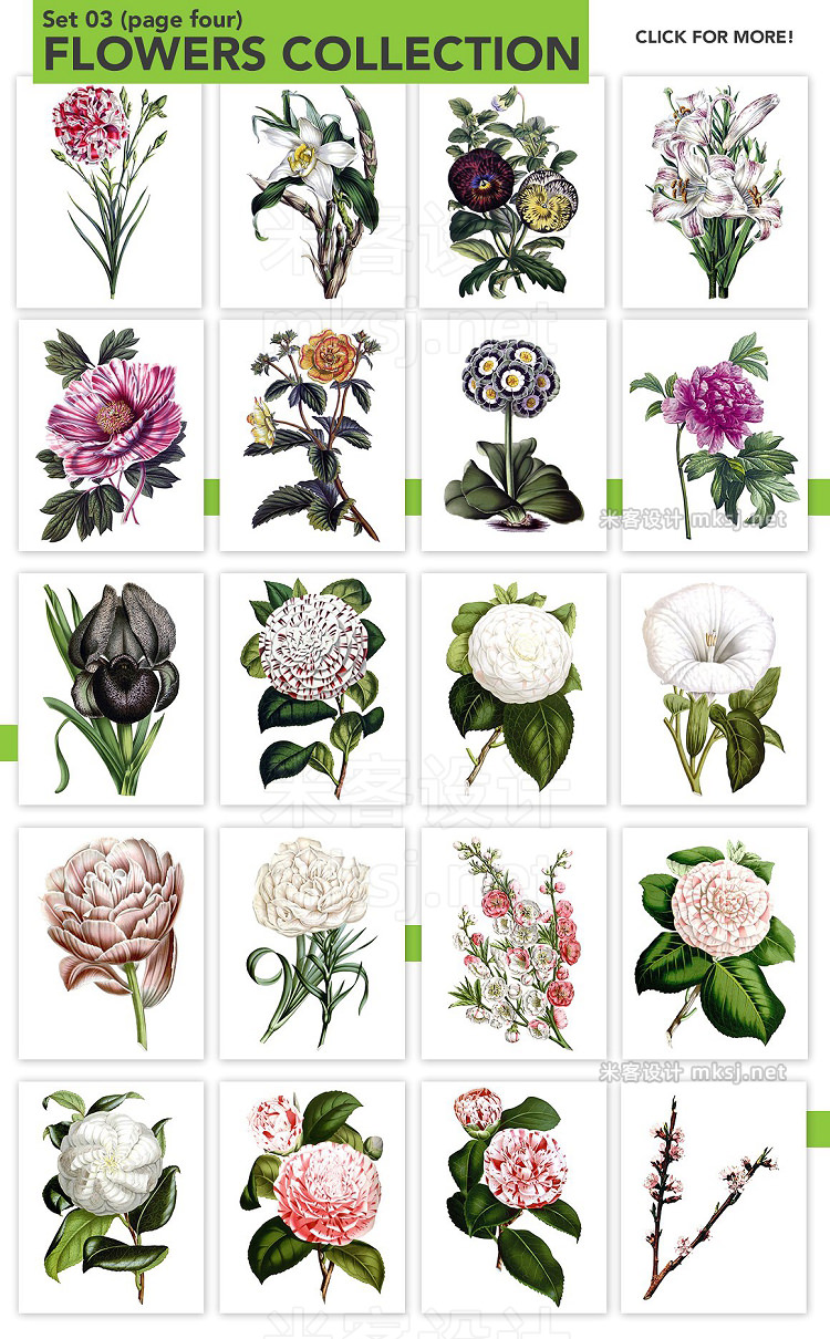 png素材 Watercolor Flowers Bundle Set 03