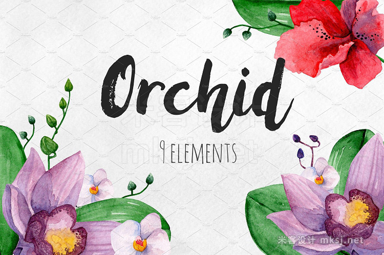 png素材 Watercolor orchid Flowers clip art