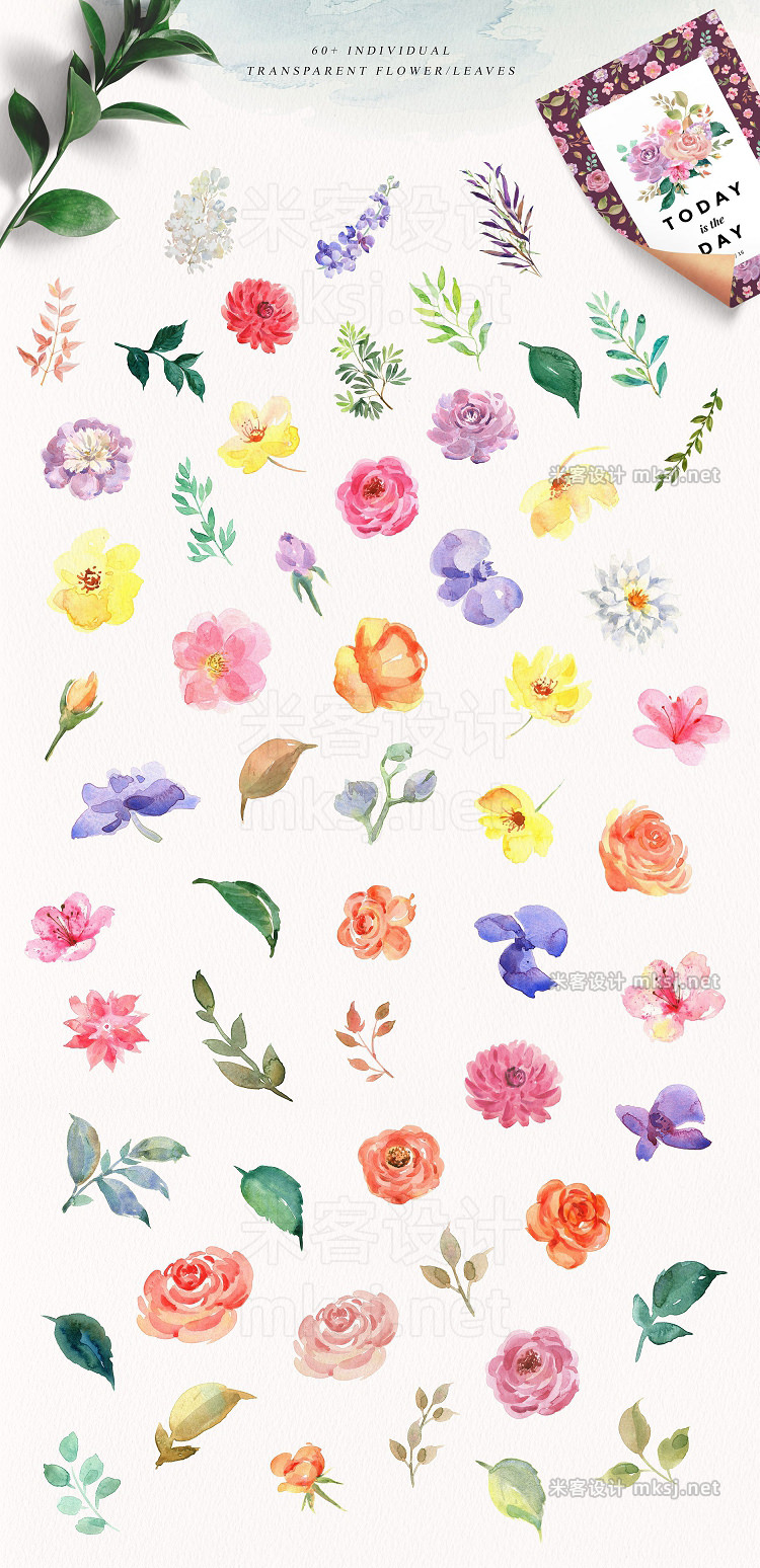 png素材 Watercolor Flowers - Olivia
