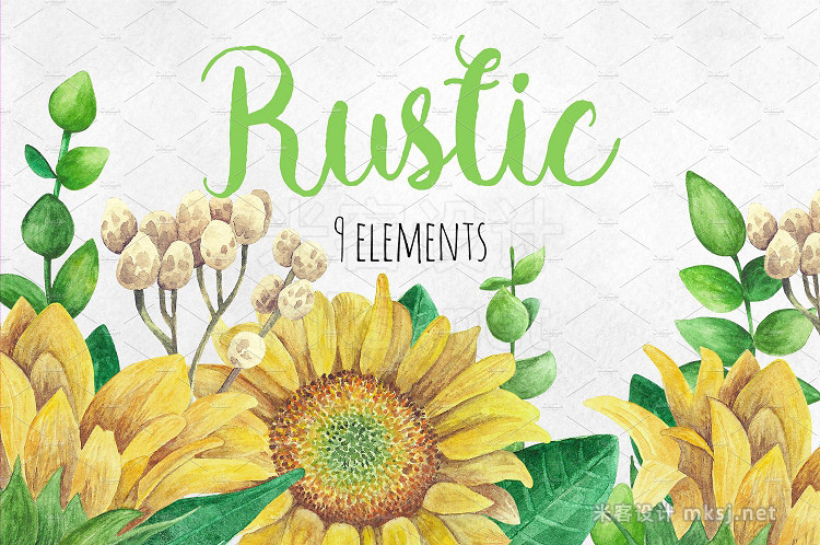 png素材 Watercolor rustic flowers clip art