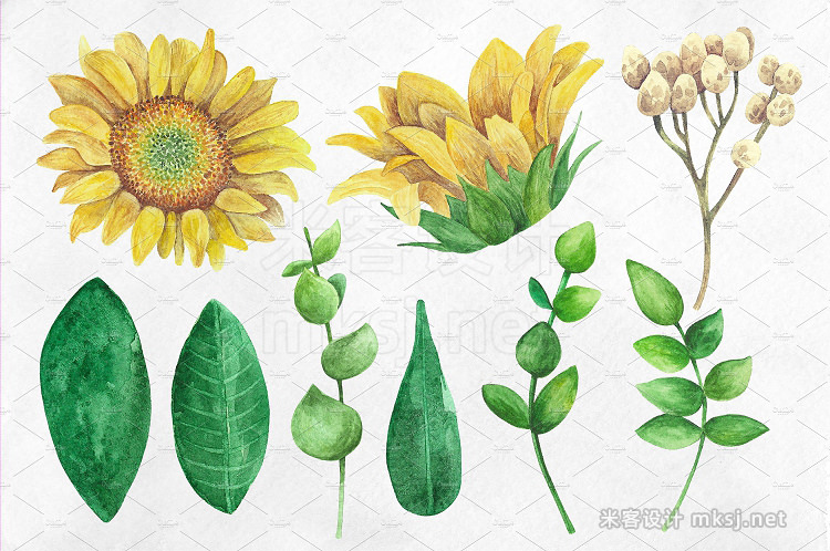 png素材 Watercolor rustic flowers clip art