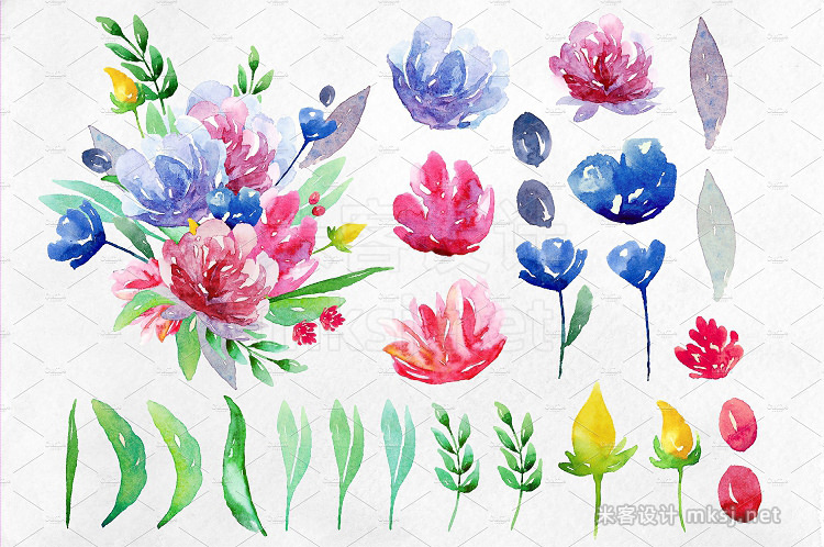 png素材 Watercolor summer flowers clip art