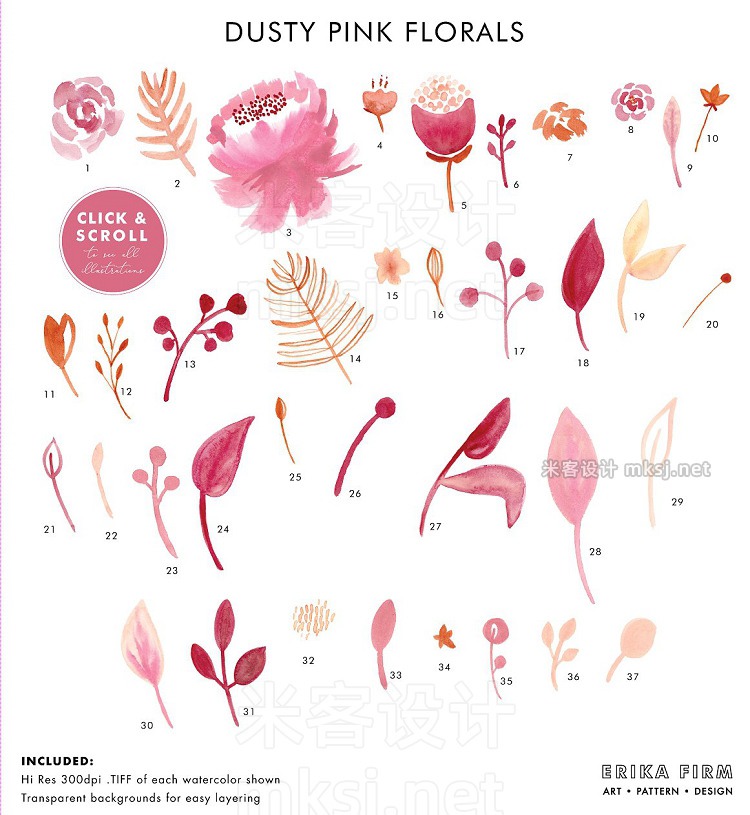 png素材 Warm Dusty Watercolor Florals
