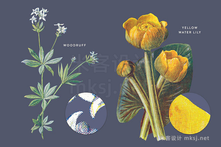 png素材 Vintge Flowers Vol04 - Extra Large