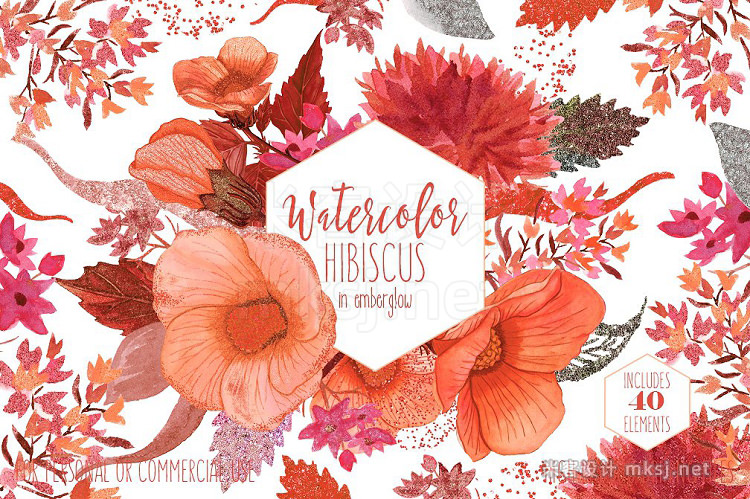 png素材 Tropical Watercolor Floral Hibiscus