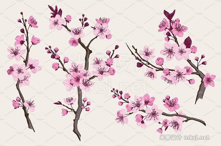 png素材 Spring Cherry Blossom