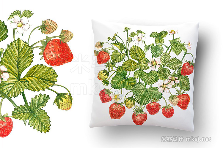 png素材 Strawberry illustrations