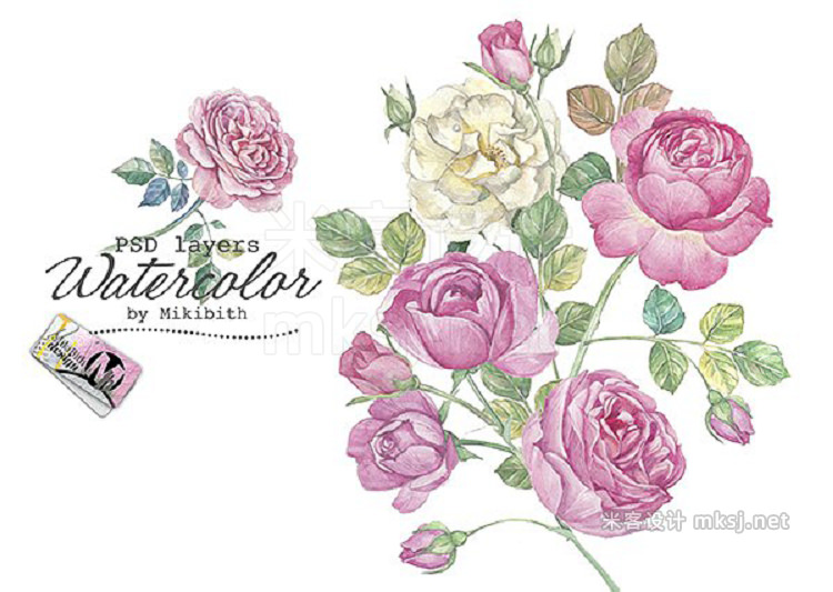 png素材 Hand drawn watercolor english roses