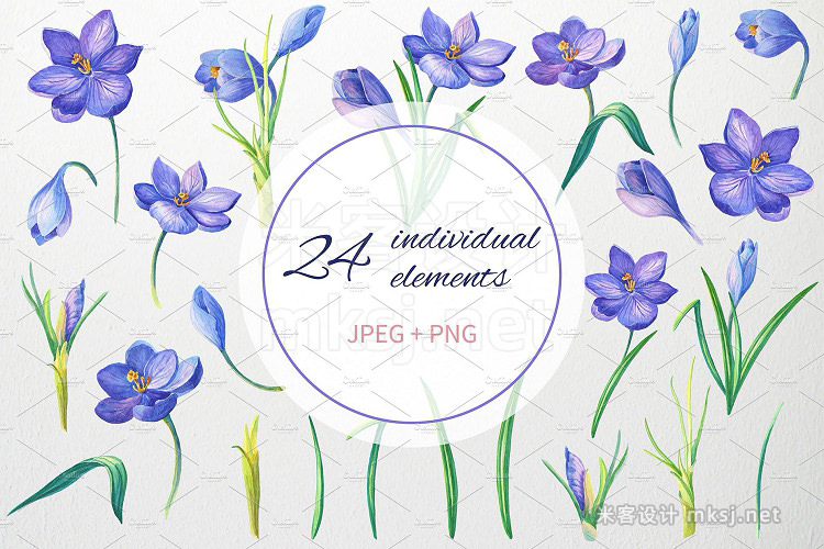 png素材 Crocuses for youWatercolor clipart