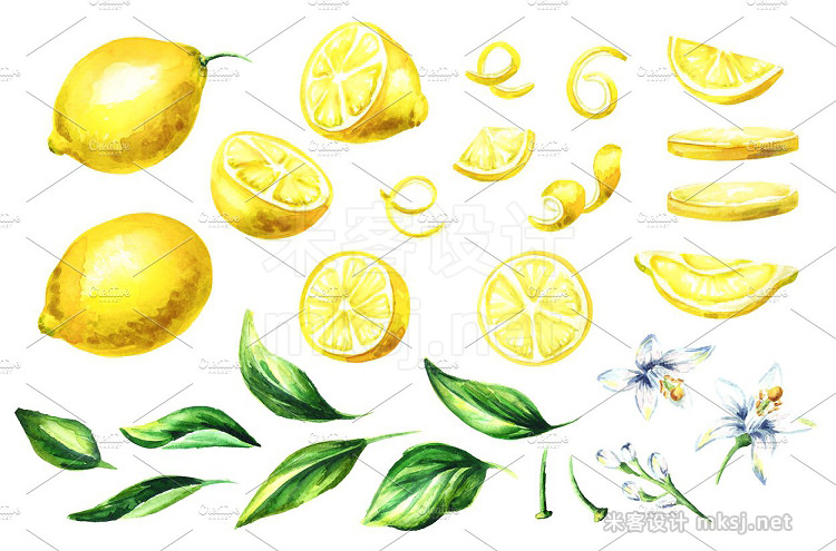 png素材 Fresh Lemon Watercolor collection