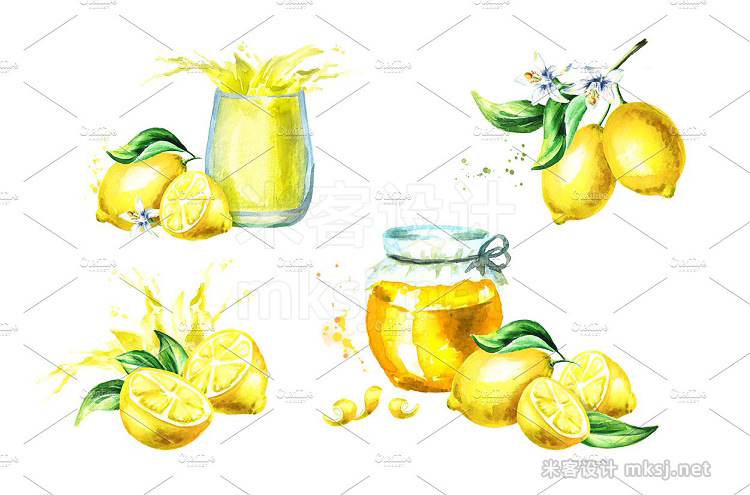 png素材 Fresh Lemon Watercolor collection