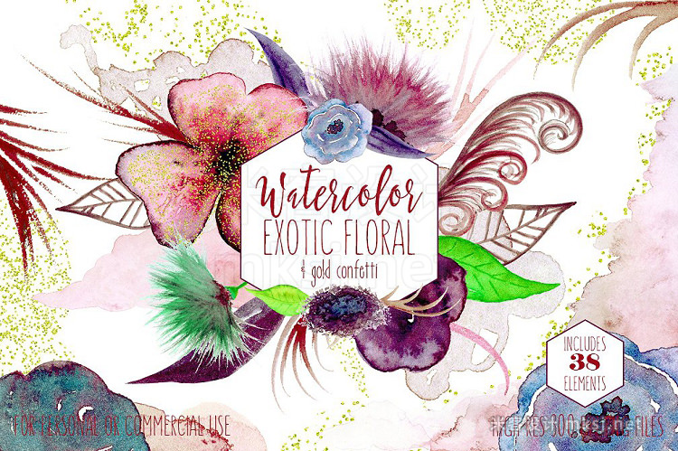 png素材 Exotic Watercolor Floral Graphics