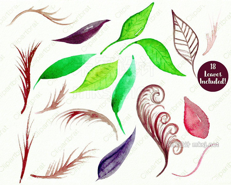 png素材 Exotic Watercolor Floral Graphics