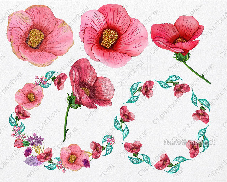 png素材 Tropical Watercolor Flowers