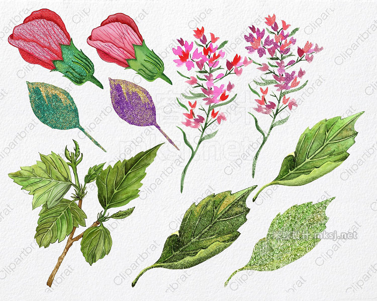 png素材 Tropical Watercolor Flowers