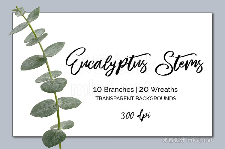 png素材 Eucalyptus Branches Wreath ClipArt