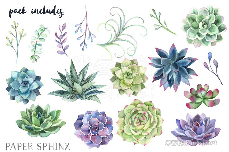 png素材 Watercolor Succulents Clipart