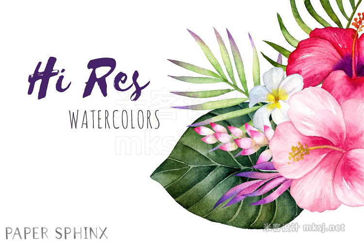 png素材 Watercolor Tropical Flowers Clipart