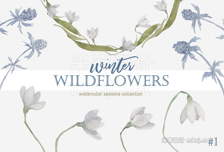 png素材 Winter Wildflowers