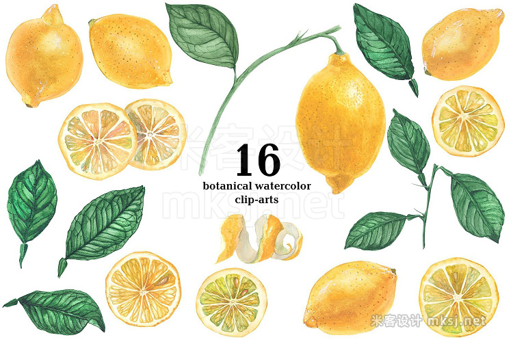 png素材 Lemon Garden Botanical Watercolor