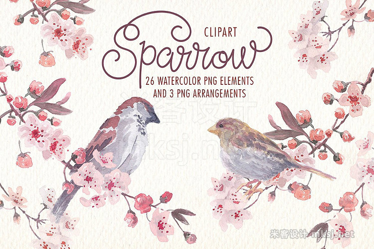 png素材 Sparrow bird watercolor clipart