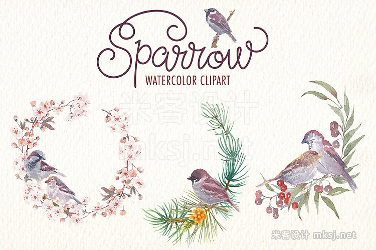 png素材 Sparrow bird watercolor clipart