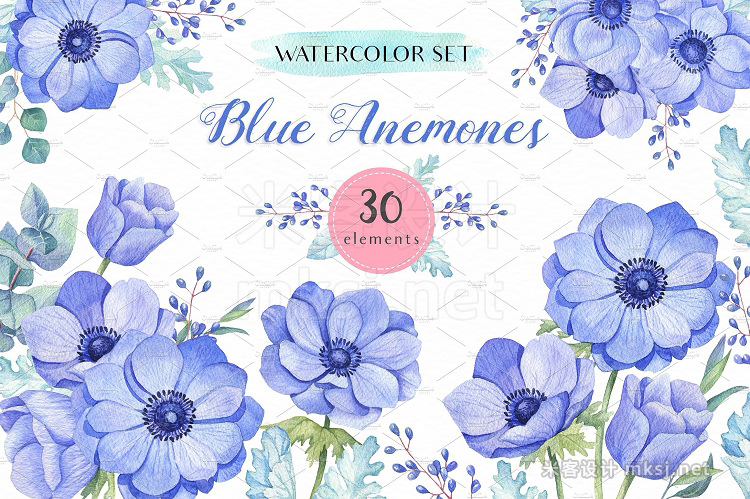 png素材 Blue Anemones