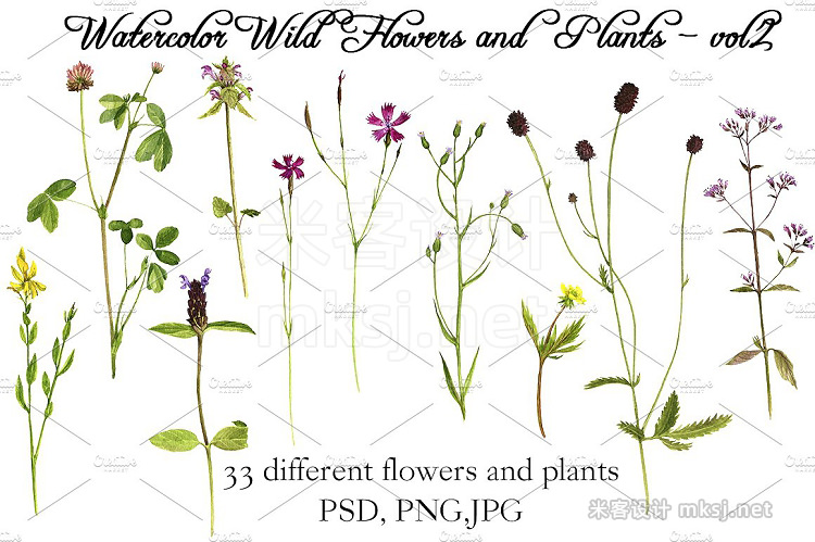 png素材 Watercolor Flowers and Plants vol2
