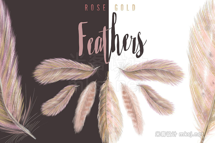 png素材 Rose-Gold Blush Feathers