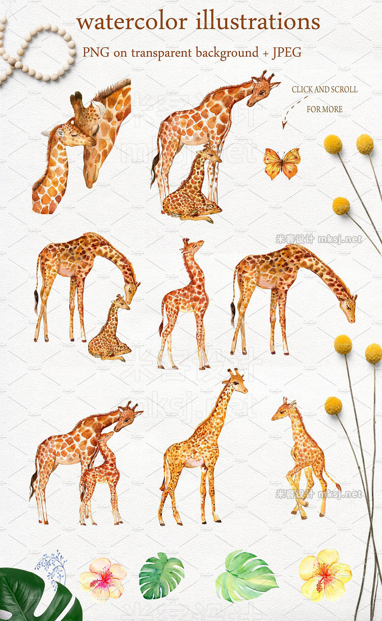png素材 Giraffes watercolor animals