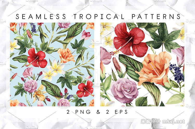 png素材 Tropical patterns (VECTOR)