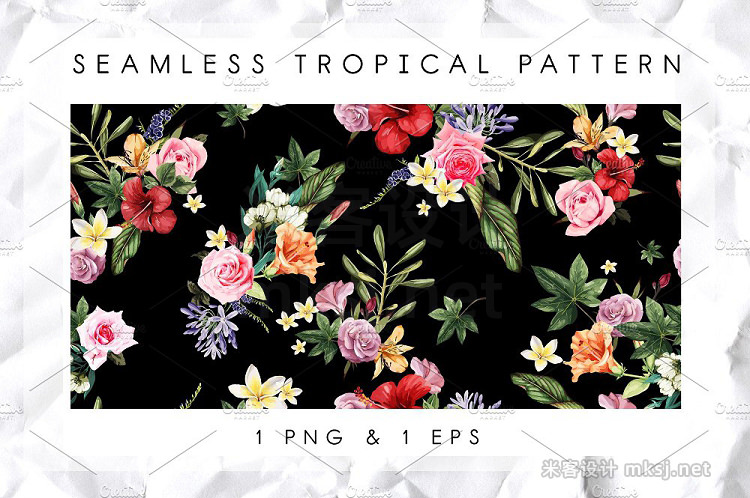 png素材 Tropical patterns (VECTOR)