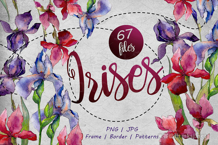 png素材 Colorful irises PNG watercolor set