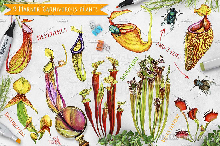 png素材 Carnivorous Plants Marker Set