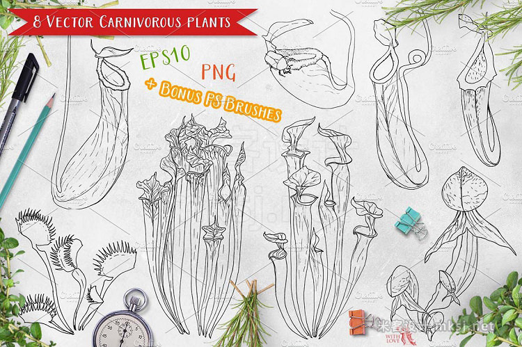 png素材 Carnivorous Plants Marker Set