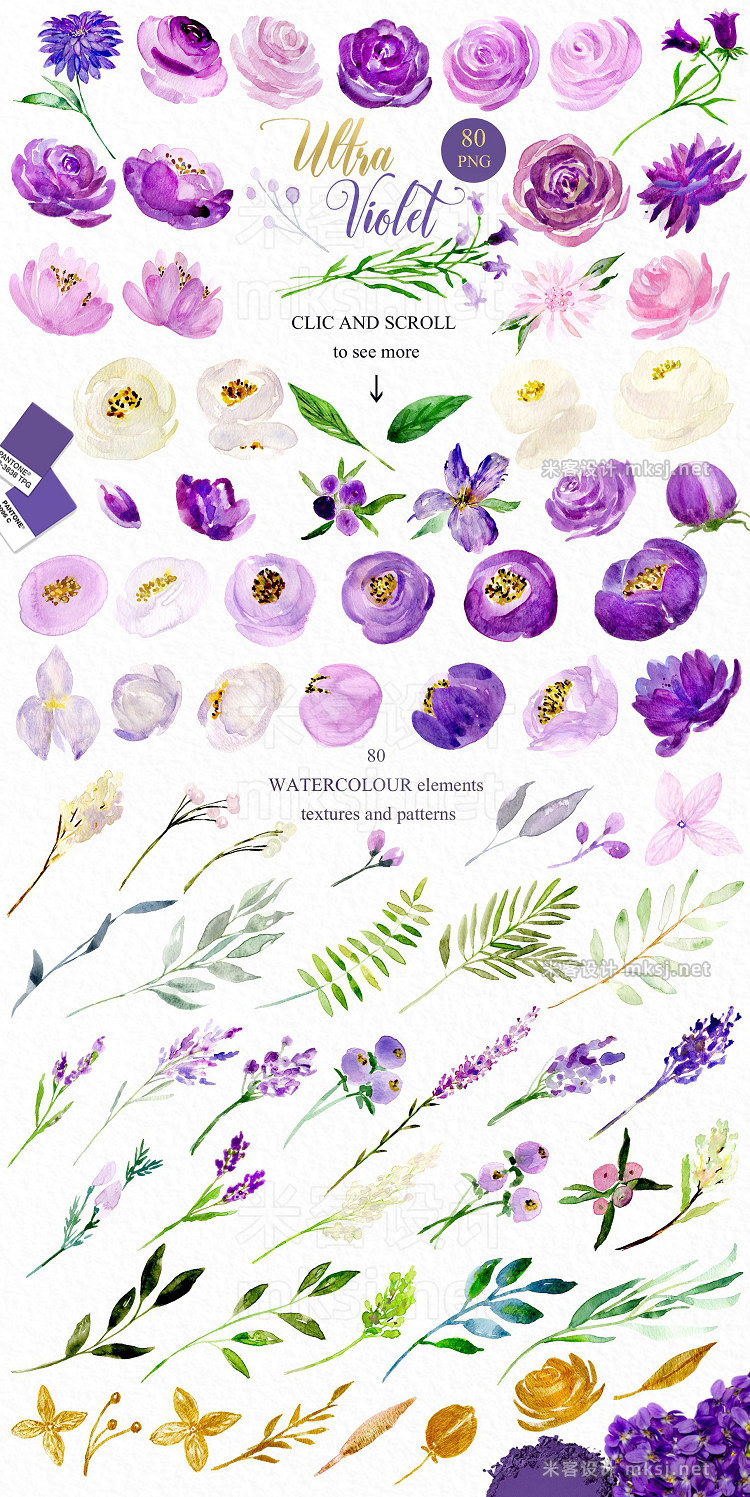 png素材 Ultra violet watercolor flowers