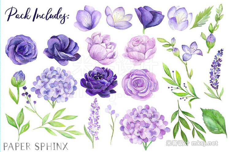 png素材 Watercolor Purple Flowers