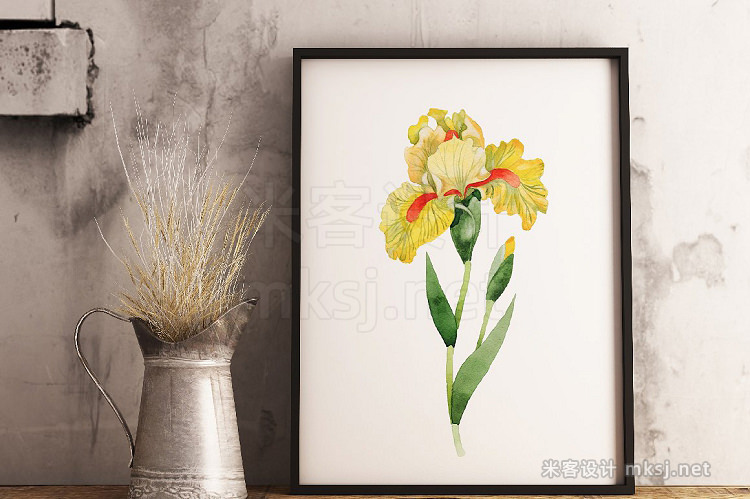 png素材 Yellow irises watercolor PNG clipart