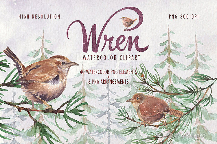 png素材 Watercolor wren bird clipart set
