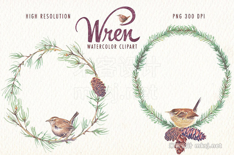 png素材 Watercolor wren bird clipart set