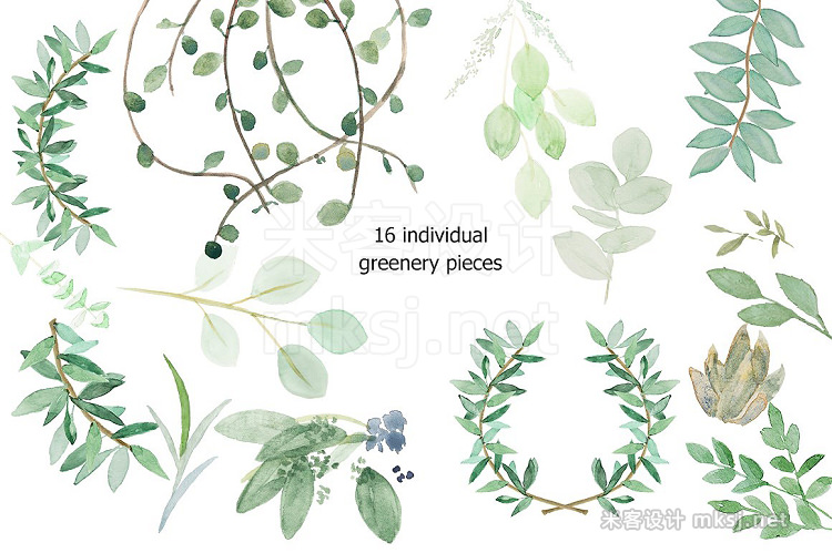 png素材 Watercolor Botanical Spring Set
