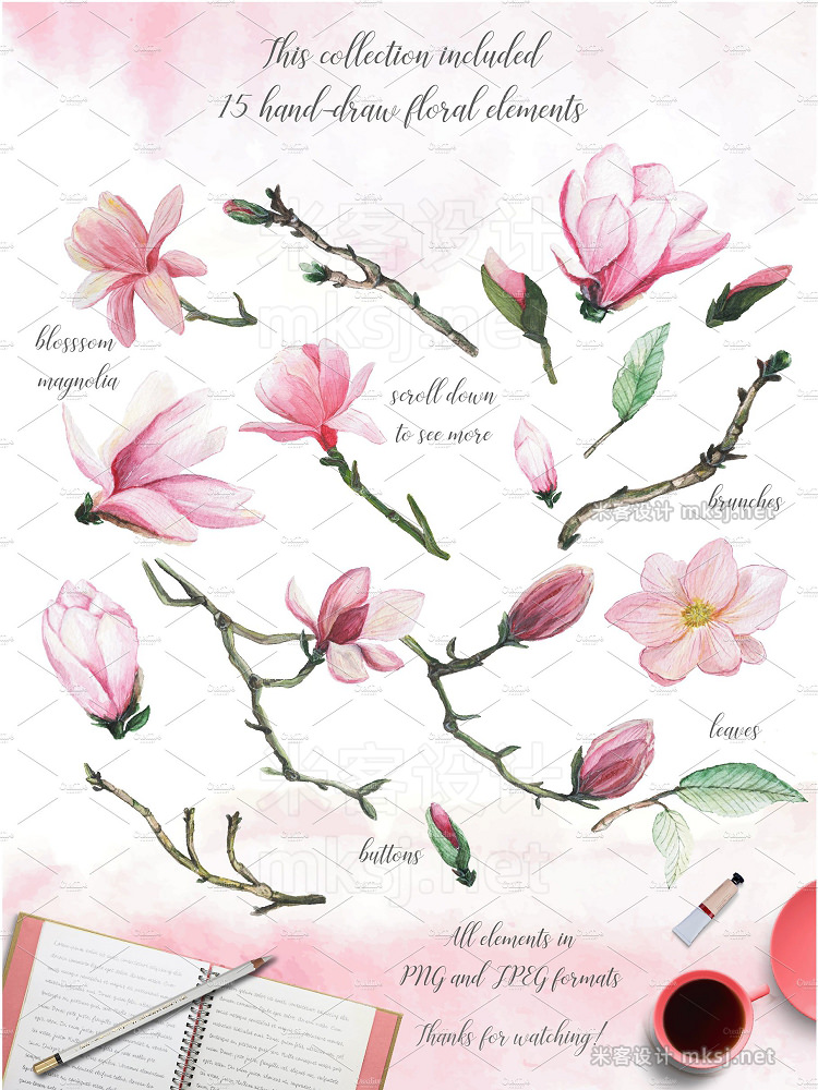 png素材 Blossom Magnolia watercolor clipart