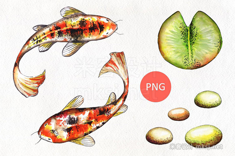 png素材 Koi fish Watercolor