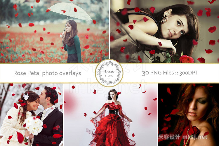png素材 30 Falling Rose Petals Photo Overlay