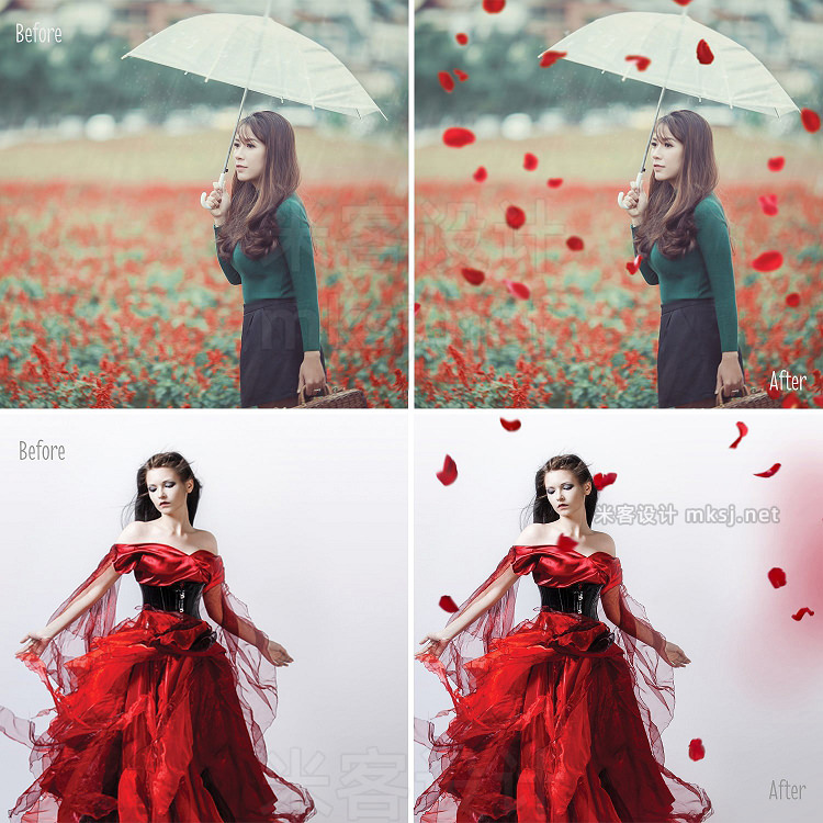 png素材 30 Falling Rose Petals Photo Overlay