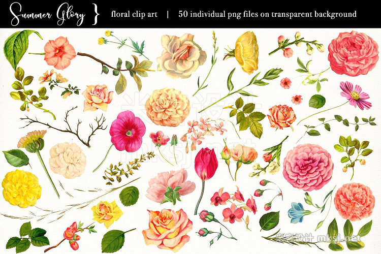 png素材 Floral Clip Art - Summer Glory